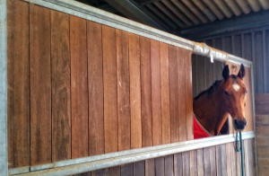 Services Mucking out Stable and General Duties