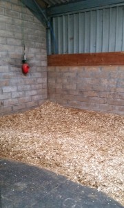 Equine and Equestrian Horse Pony Stables