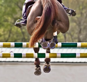 Equine and Equestrian Horse Pony Stables