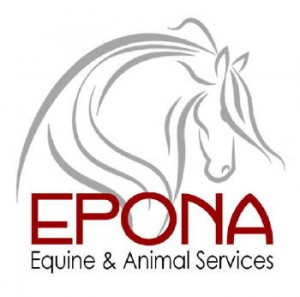 Epona Equine Equestrian Horse Service