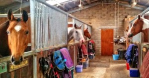 Pony Horse Stables
