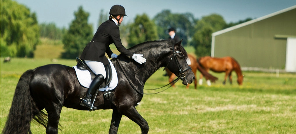 SHOW PREPARATION – Plaiting & Bathing